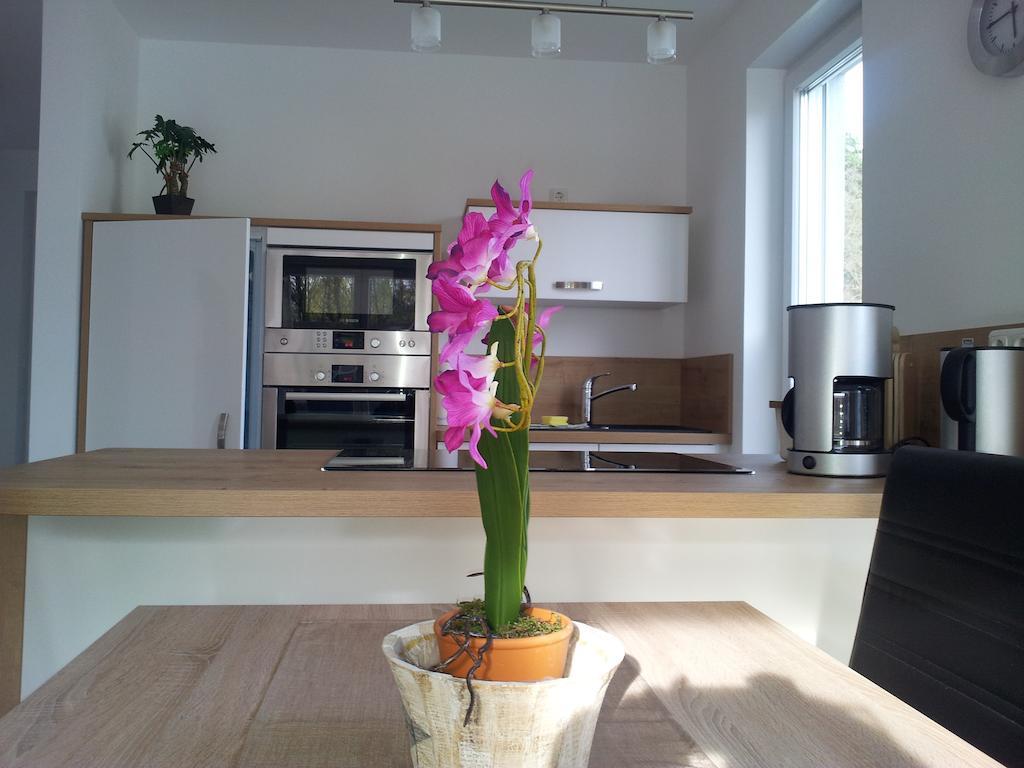 Kapitaenshaus Villa Uckeritz Room photo